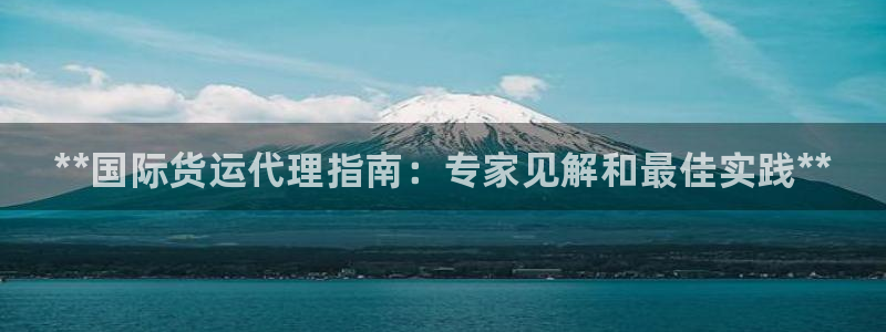 尊龙z6.con：**国际货运代理指南：专家见解和最佳实