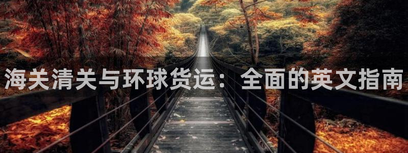 尊龙 贴吧：海关清关与环球货运：全面的英文指南