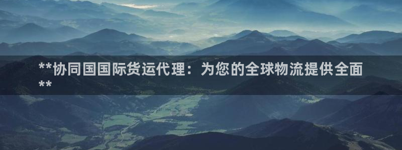 下载尊龙：**协同国国际货运代理：为您的全球物流提供全面