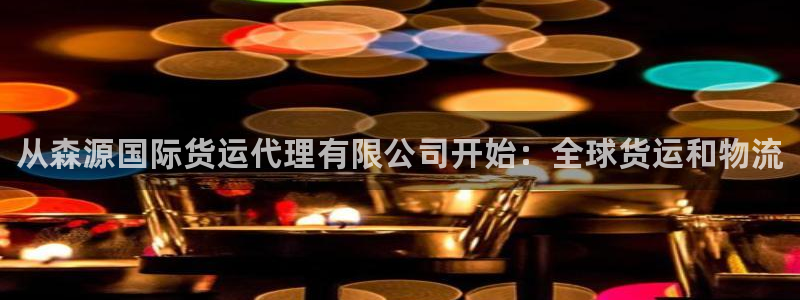 尊龙凯时 - 人生就是搏有假吗：从森源国际货运代理有限公
