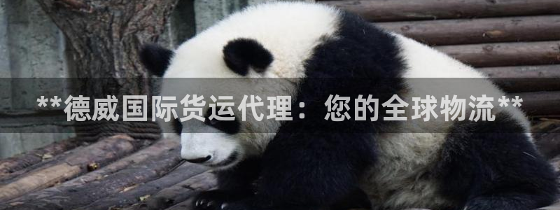 尊龙凯时有没有出不了款的情况