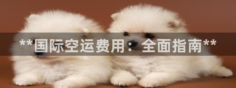尊龙凯时官方网页：**国际空运费用：全面指南**