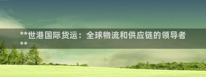 尊龙凯时登陆网址：**世港国际货运：全球物流和供应链的领