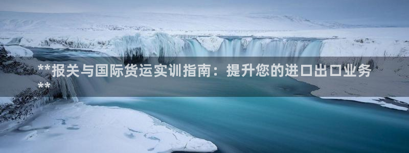 尊龙人品怎么样：**报关与国际货运实训指南：提升您的进口