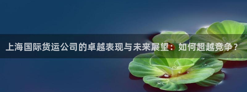 z6尊龙凯时旗舰厅：上海国际货运公司的卓越表现与未来展望